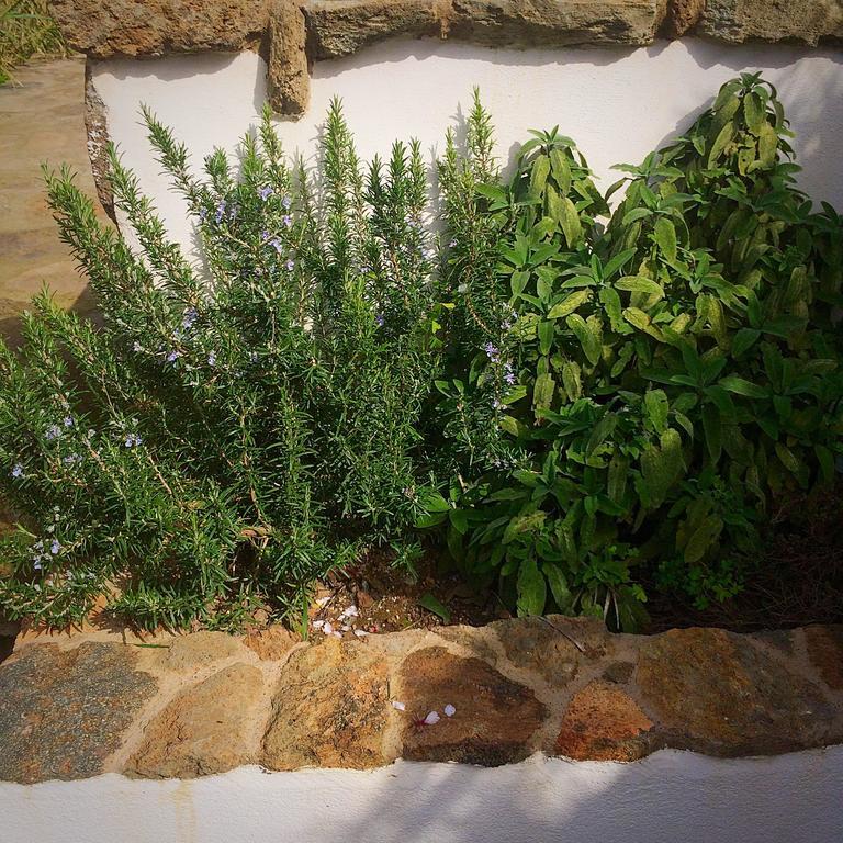 Le Maioliche Hotel Scauri  Luaran gambar